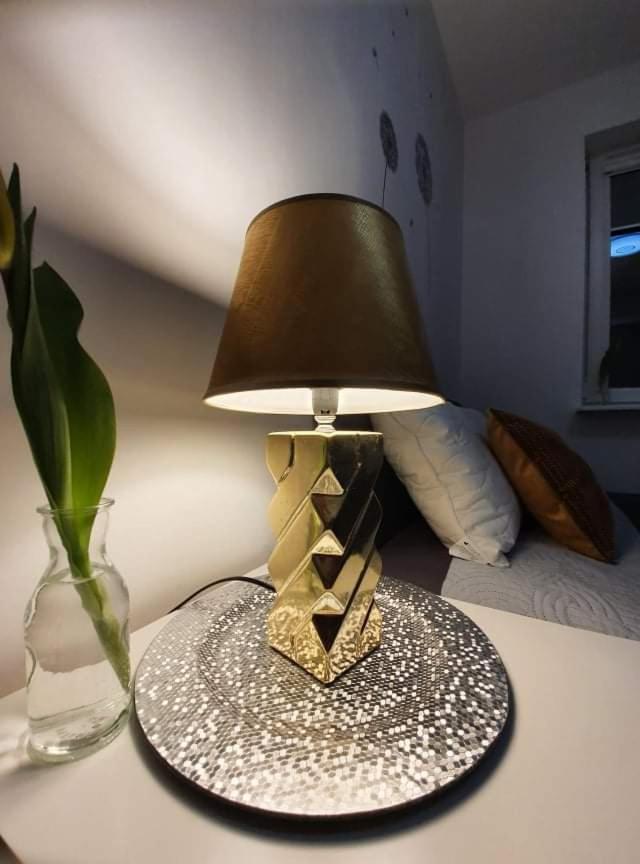 Apartament 60 普沃茨克 外观 照片