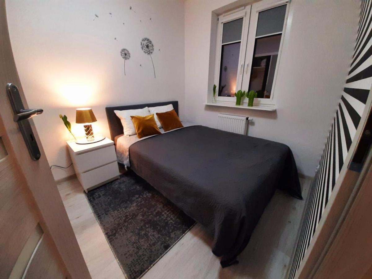 Apartament 60 普沃茨克 外观 照片